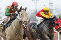 Mirador och Zamson Zaid TOP