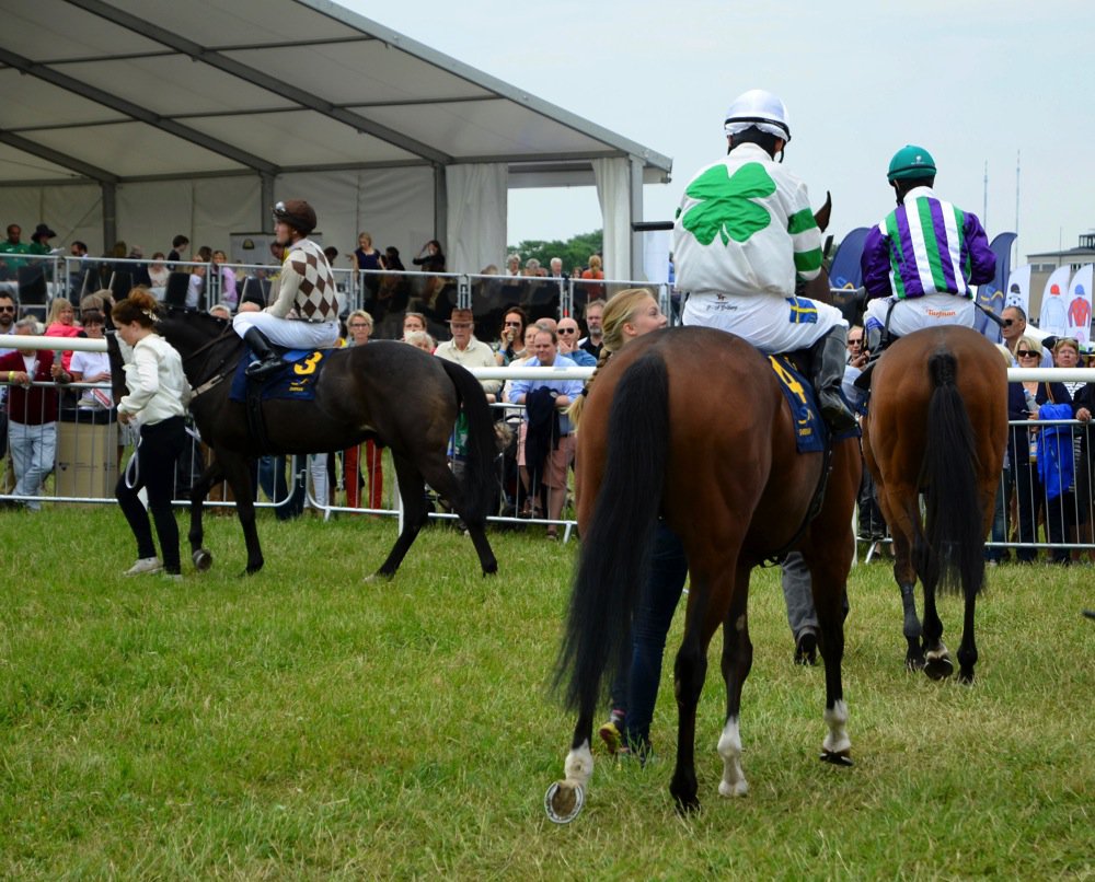 Ledvolten | Gärdet 140606 | Foto: Stefan Olsson / Svensk Galopp