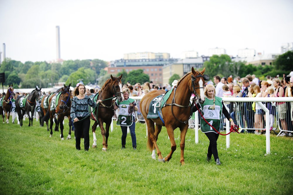 NDG14NG2014_23Galopp