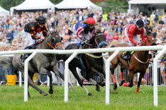 Galopphästar Gärdet