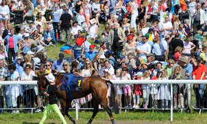 Nationaldagsgaloppen 2016