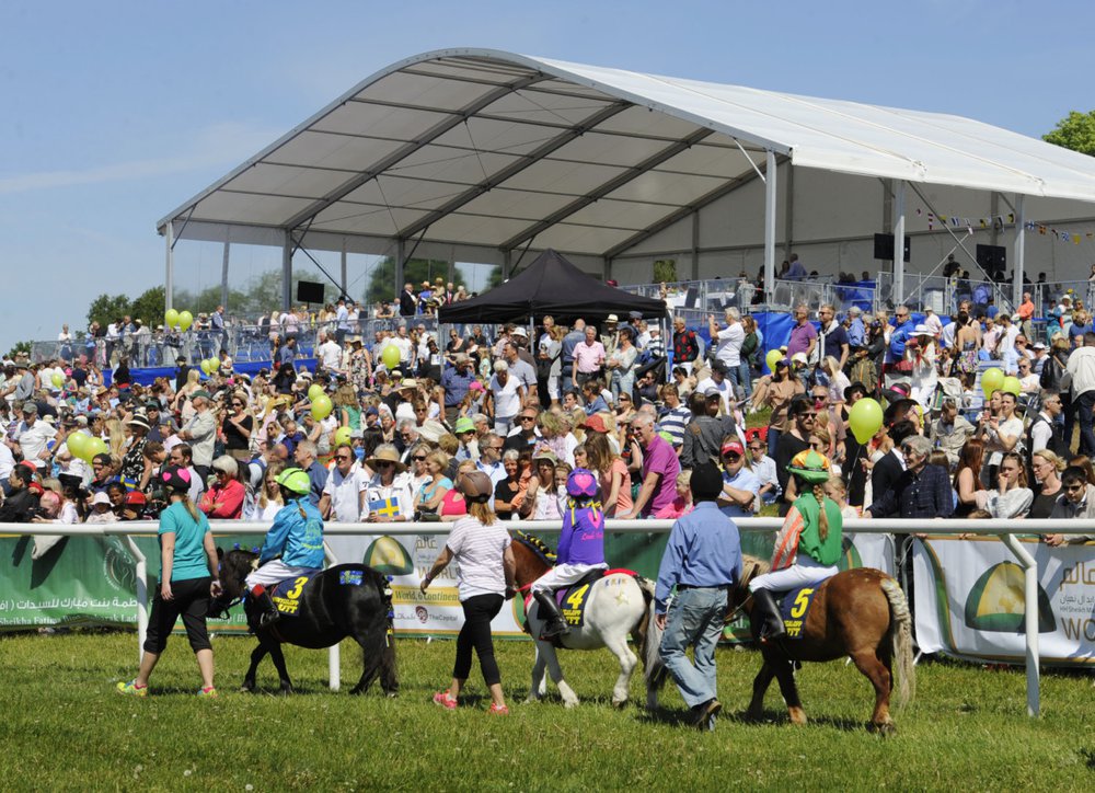 ND galopp 4192