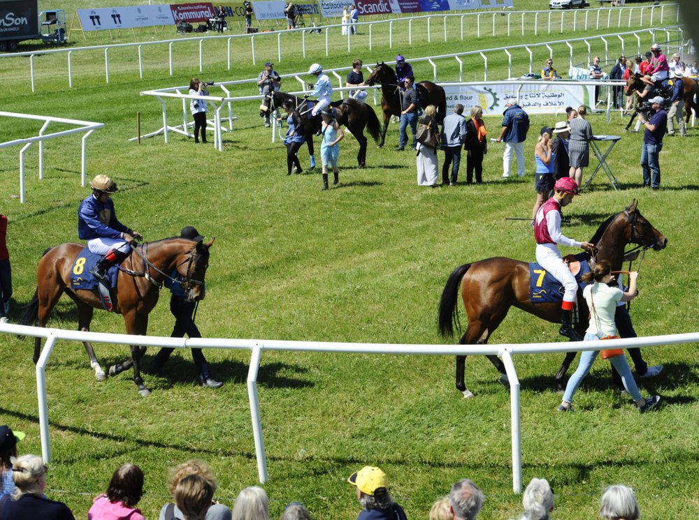 ND galopp 4222