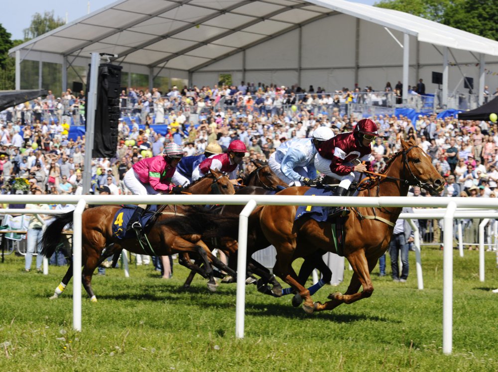 ND galopp 4234