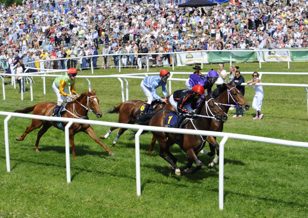 ND galopp 4299