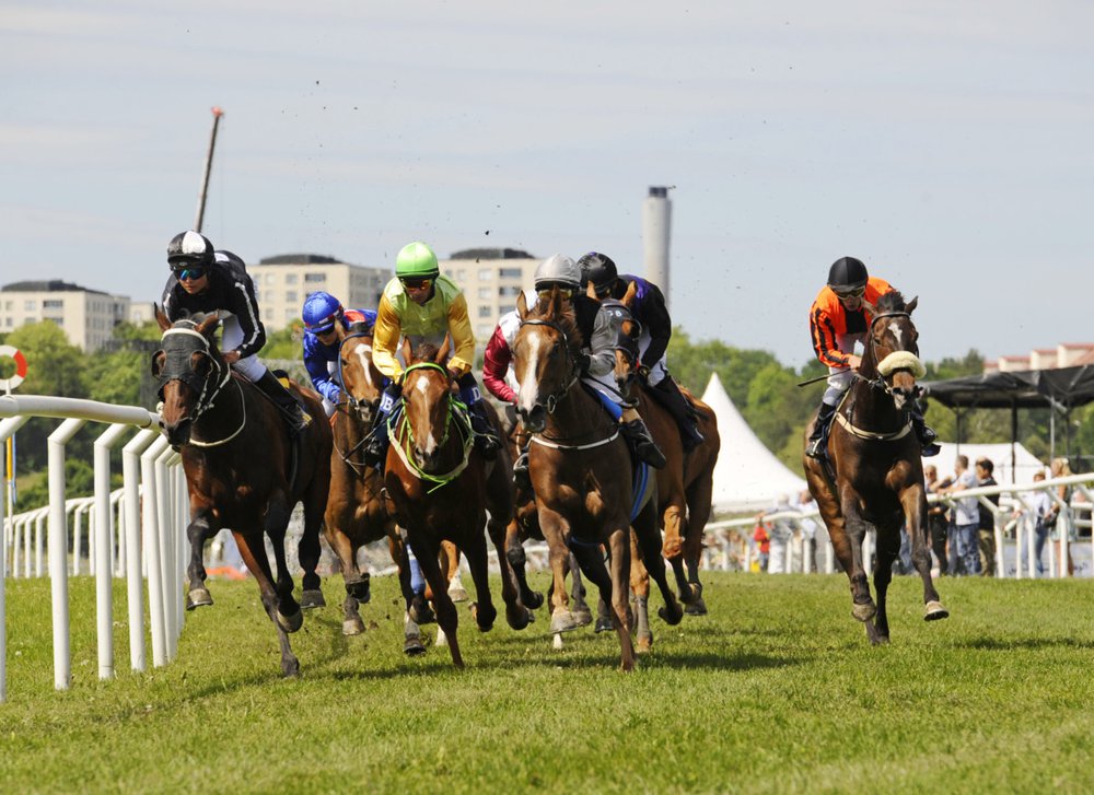 ND galopp 4357