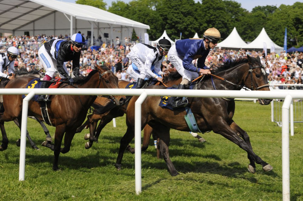 ND galopp 4416