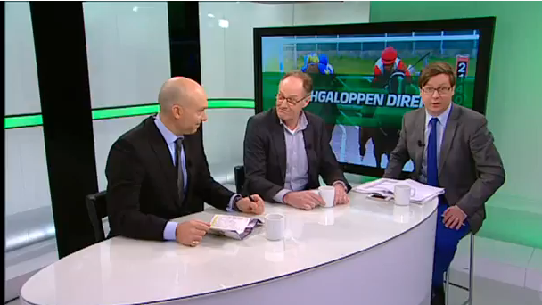 TV4sport