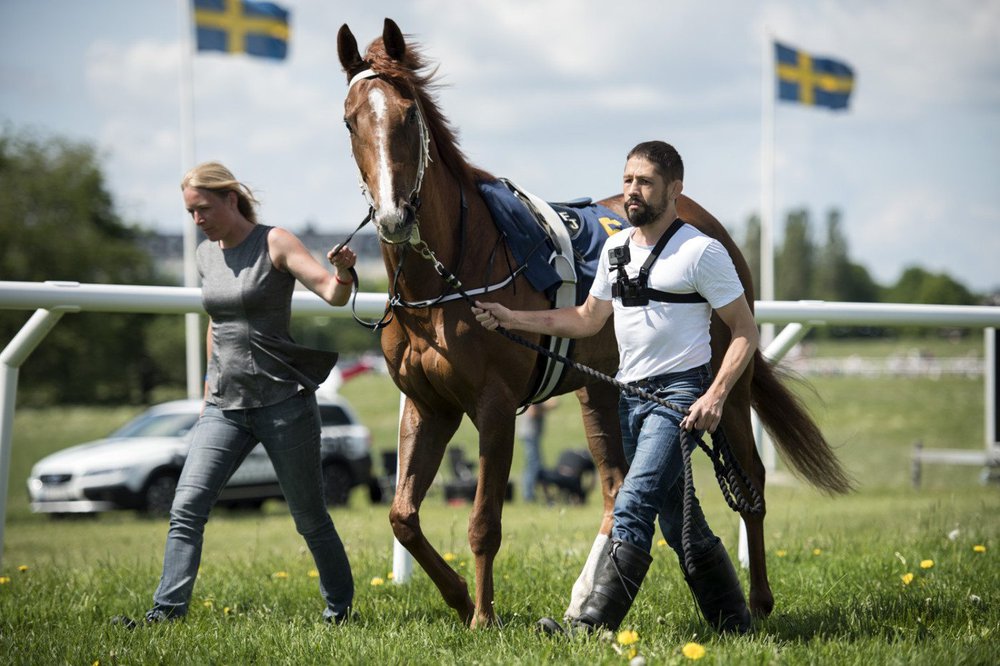 nationaldagsgaloppen_trackare