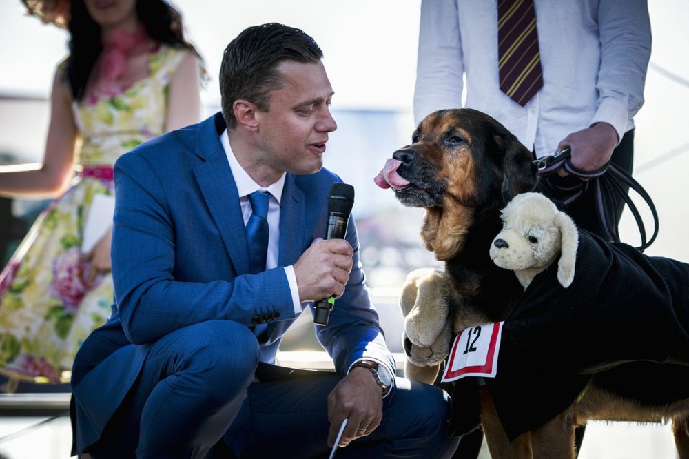 nationaldagsgaloppen2017_matchyourdog