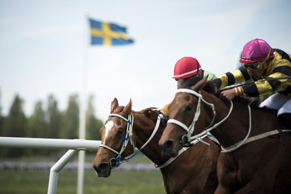 nationaldagsgaloppen2017_svenskflagga_ekipage