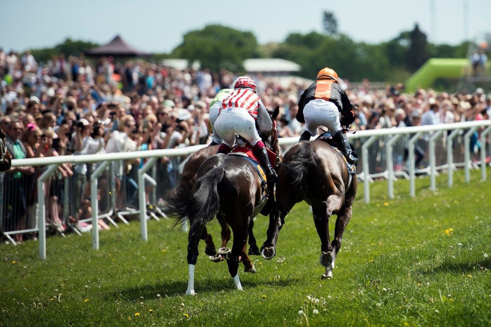 Vik den 6 juni för årets Nationaldagsgalopp!