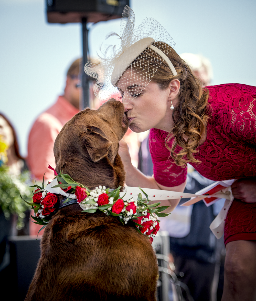 Hattparaden Nationaldagsgaloppen (3)