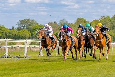 nhuYAFuQ My Motivate Girl.jpeg