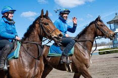 Osberg stallrunda Jägersro 2025