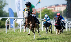 ponny-gardet-5759