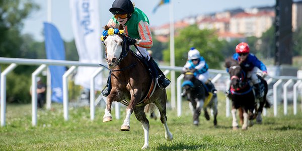 ponny-gardet-5759