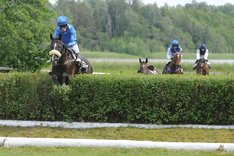 pretty king top 2034 2