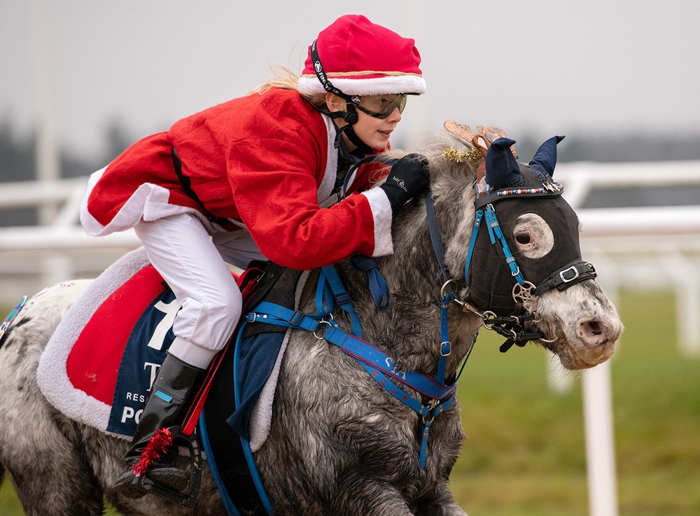 Qrispy Tomterace 2025