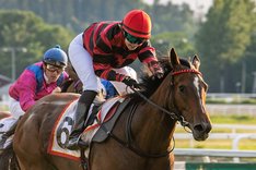 quebello-oslo-cup-top