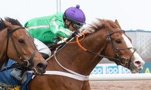 Röde Baronen TOP