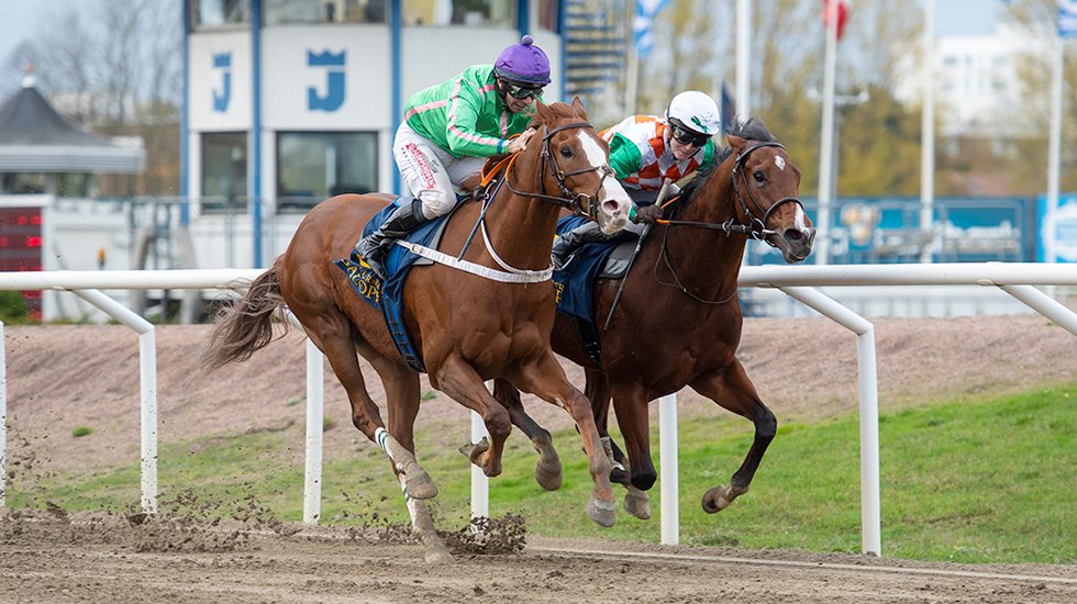 Röde Baronen TOP