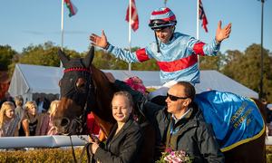 Chamyl Stockholm Cup TOP
