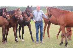 Ivan Sjöberg med hästar TOP 2