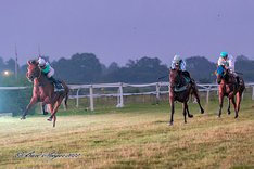 sk3GbXN0 Svenskuppfödda Fox Eye segrar på Klampenborg 19 augusti.jpeg