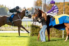 sm-vinnare