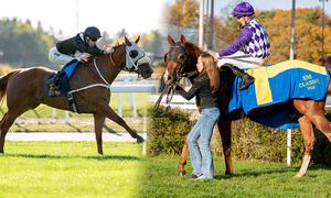 sm-vinnare