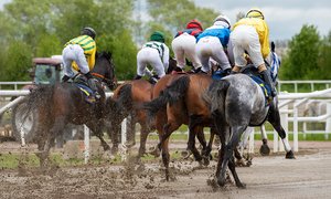 Spring Mile