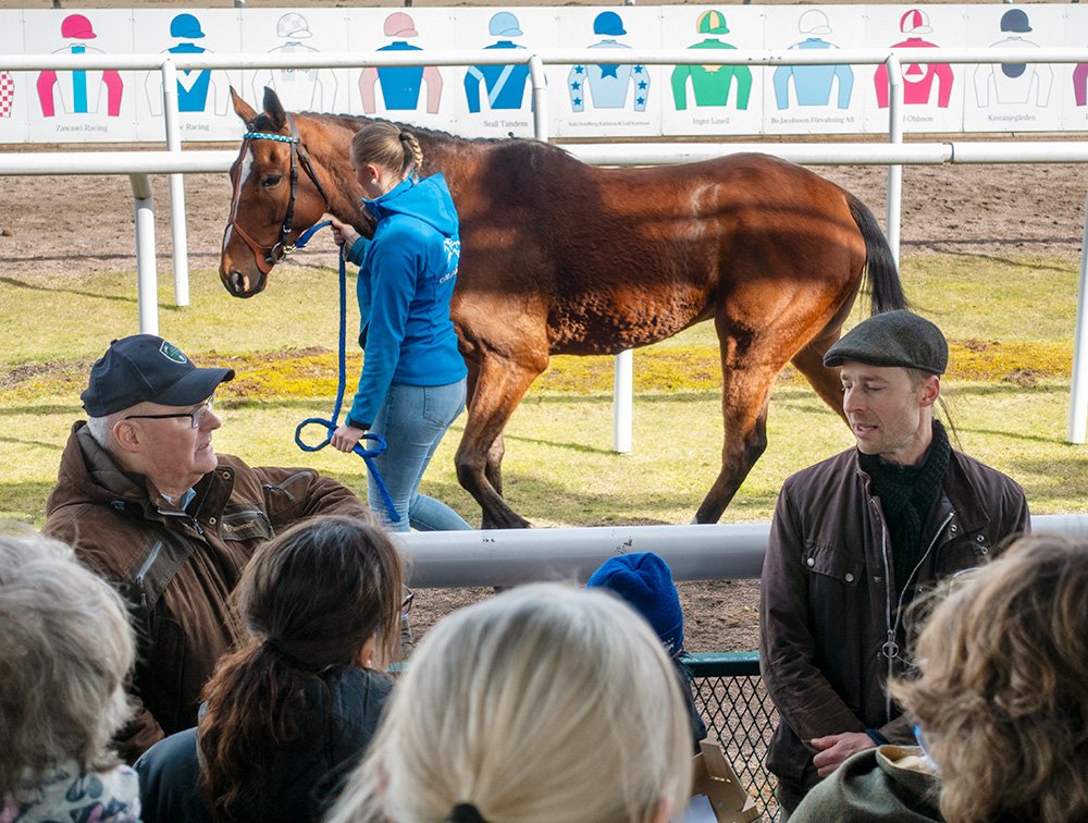 Stallrunda Jägersro