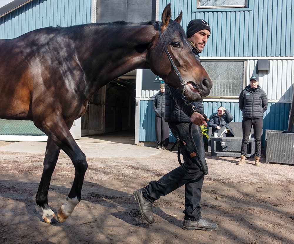 Stallrunda Jägersro