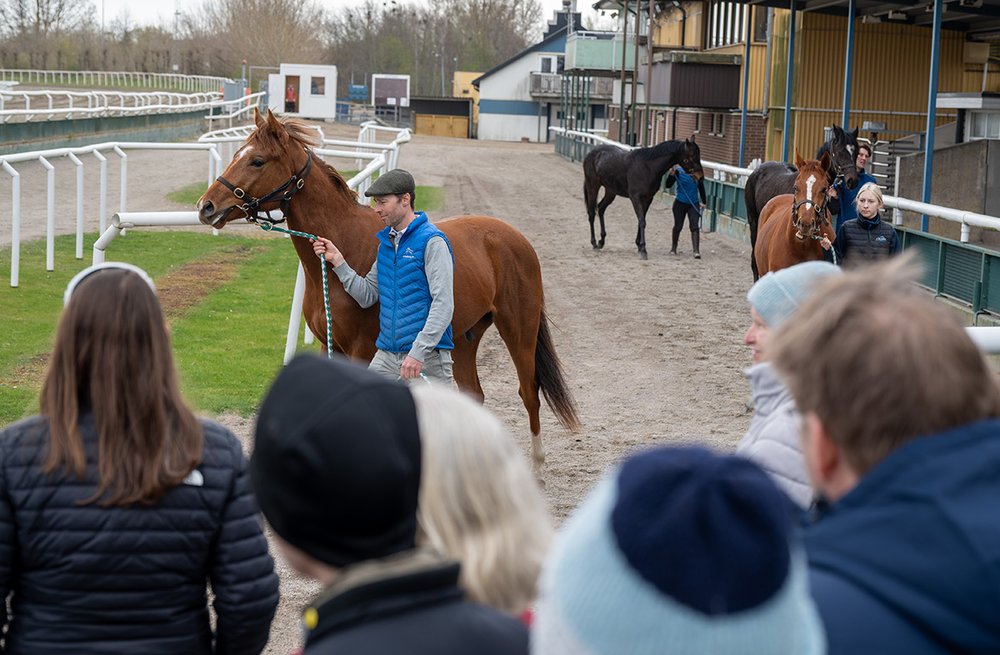 Stallrunda Jägersro
