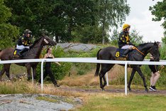 Dubbel Stjernstrand Mortensen TOP