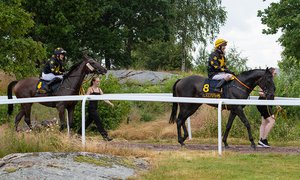 Dubbel Stjernstrand Mortensen TOP