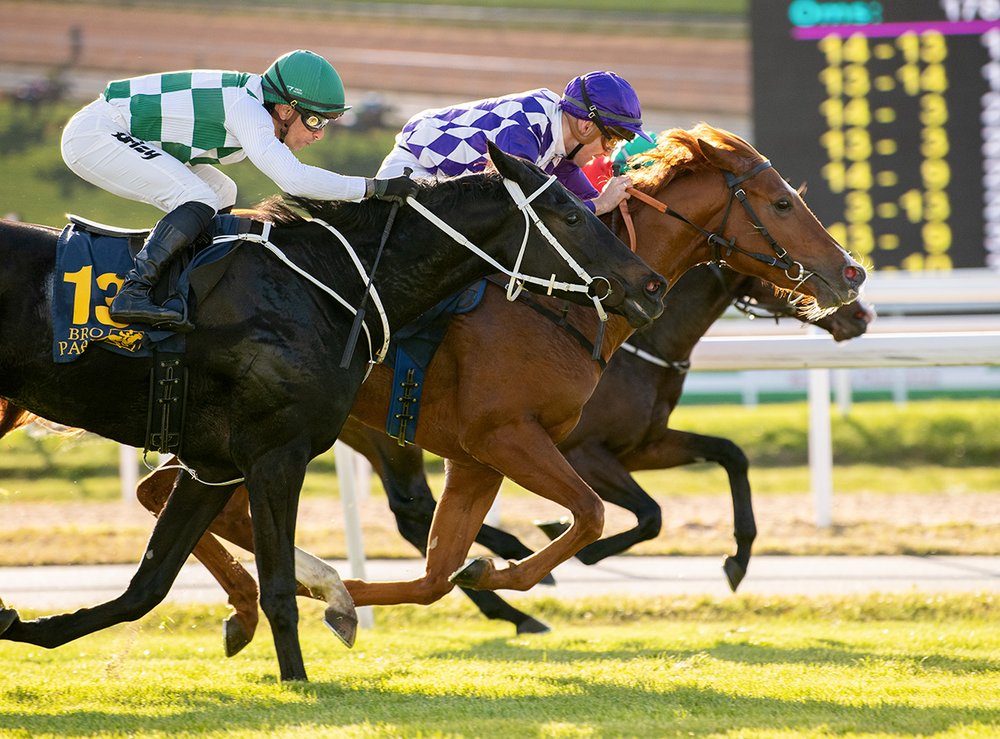 Strike Ten - SM tvååringar