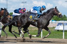 Stroxx Carlras Pramms TOP