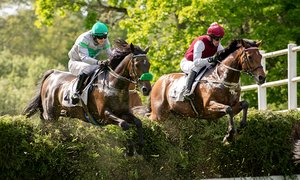 Svenskt Grand National 2025