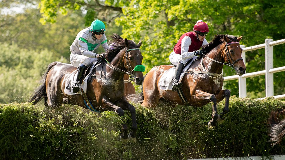 Svenskt Grand National 2025