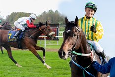 Veckosvepet 18 toppbild