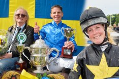 Svepet vecka 25 topp