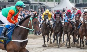Derbyvecka Svepet Topp