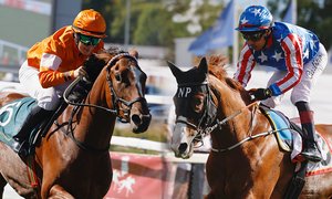 Tarantina och Warsocks svep TOP