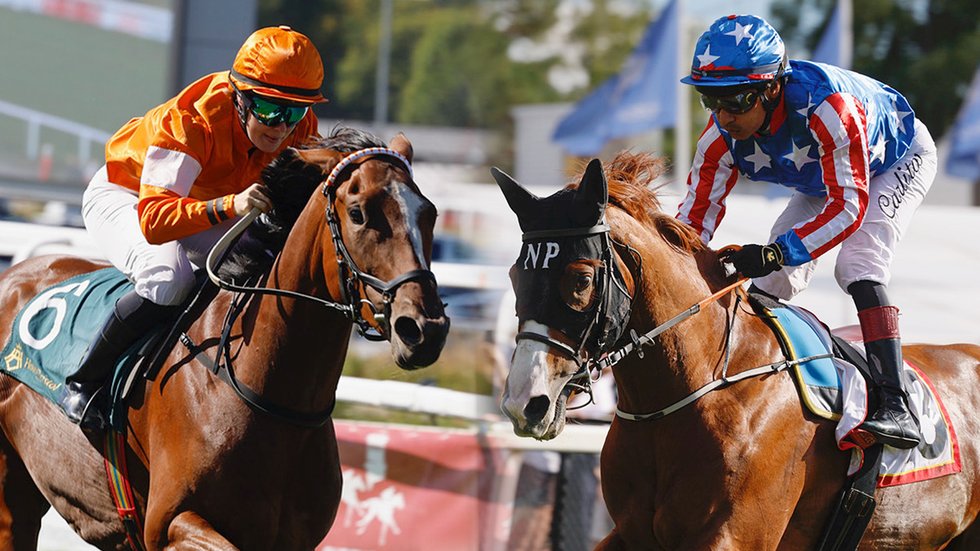 Tarantina och Warsocks svep TOP