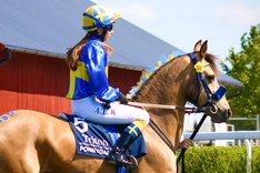 Toppbild Fegentri Junior