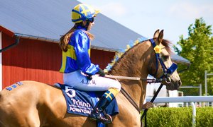 Toppbild Fegentri Junior