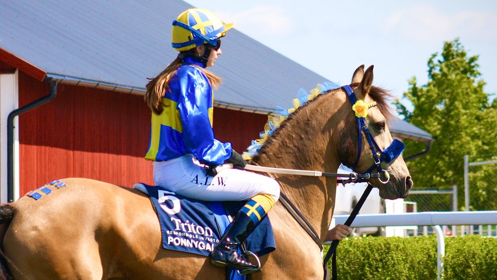 Toppbild Fegentri Junior