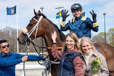 Swinging of Venice TOP